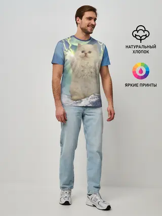 Мужская базовая футболка / Грозовой Котик