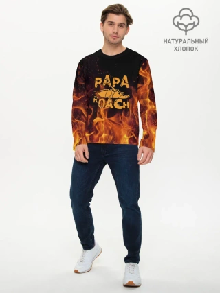 Мужской лонгслив базовый / Papa Roach