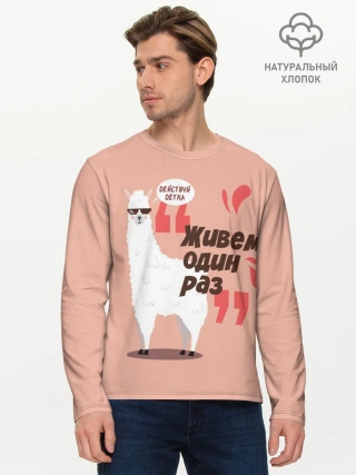 Мужской лонгслив базовый / Действуй детка