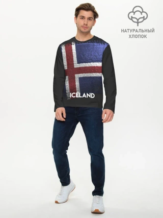 Мужской лонгслив базовый / Iceland