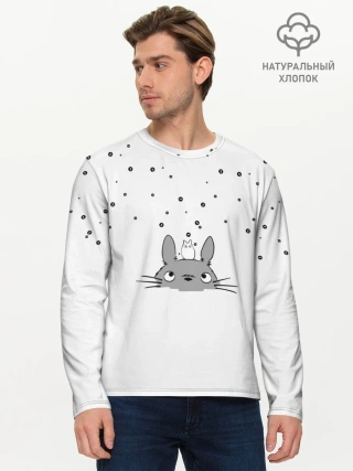 Мужской лонгслив базовый / Totoro The Rain