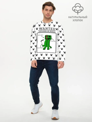 Мужской лонгслив базовый / Внутреннее строение Крипера | Minecraft