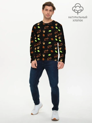 Мужской лонгслив базовый / AUTUMN MOTIFS