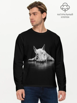 Мужской лонгслив базовый / Puppy