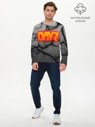 Мужской лонгслив базовый / DAYZ
