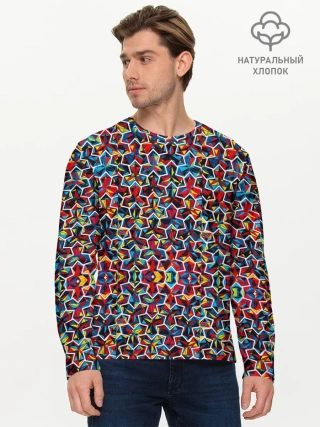 Мужской лонгслив базовый / COLORS