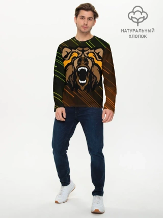 Мужской лонгслив базовый / Angry Bear