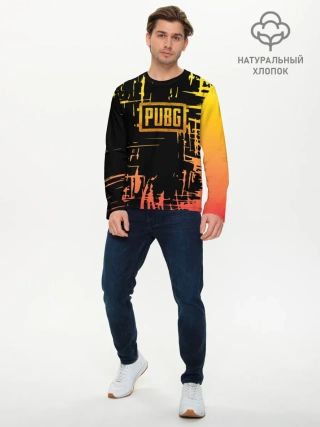 Мужской лонгслив базовый / PUBG