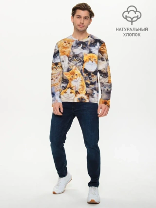 Мужской лонгслив базовый / КОТЯТКИ
