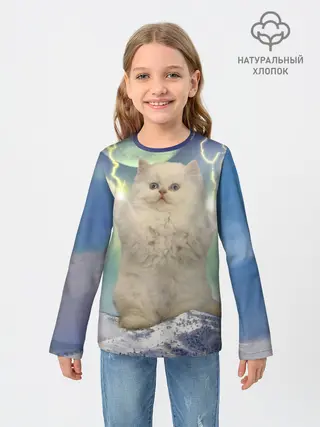 Детский лонгслив / Грозовой Котик