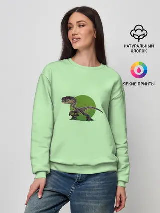 Женский свитшот / IndoR