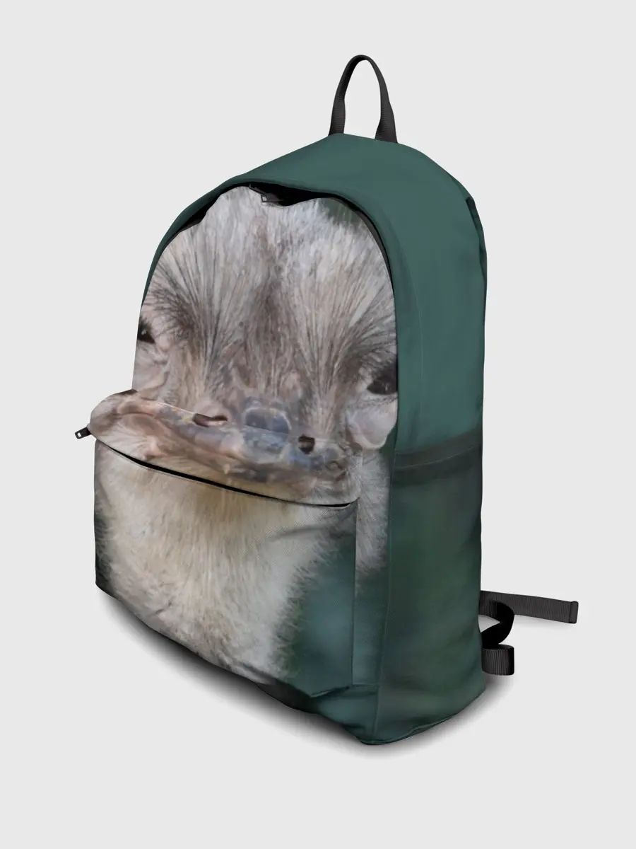  / 