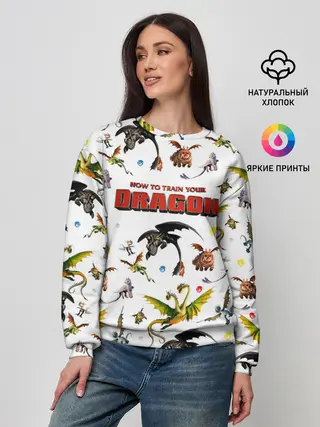 Женский свитшот / Как приручить дракона