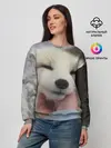  / 