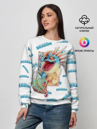 Женский свитшот / Как приручить дракона