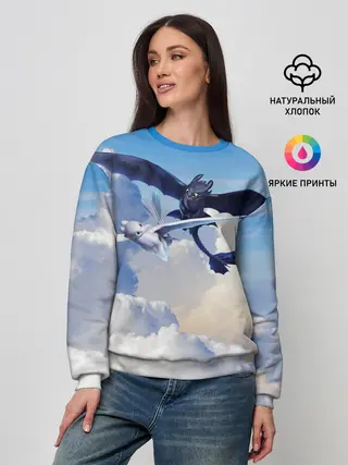 Женский свитшот / Night Fury