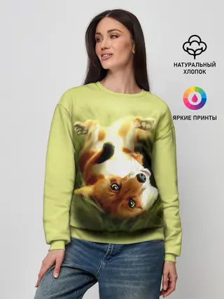 Женский свитшот / Лиса на траве