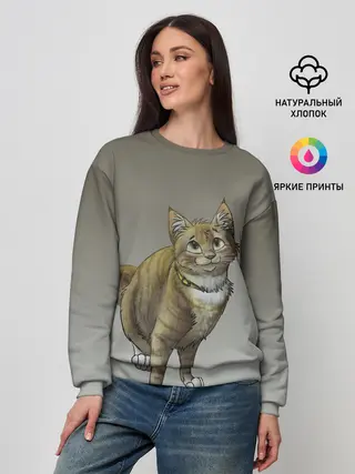 Женский свитшот / полосатый уличный кот