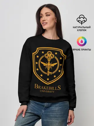 Женский свитшот / Волшебники / Brakebills