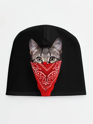 Детская шапка / Gangsta Cat