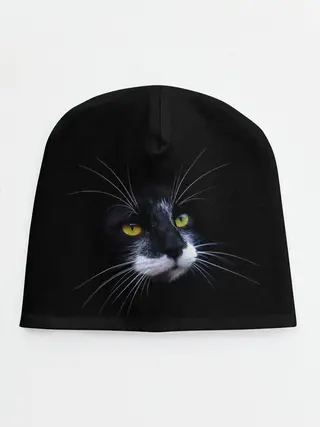 Детская шапка / Кот