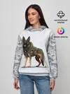  / 