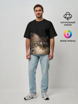Мужская футболка оверсайз / Disintegrating Cat