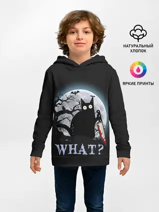 Детское худи / What Cat
