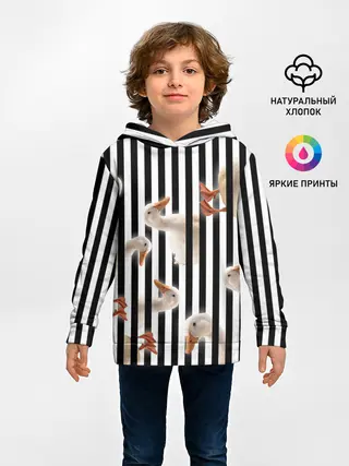 Детское худи / Гуси