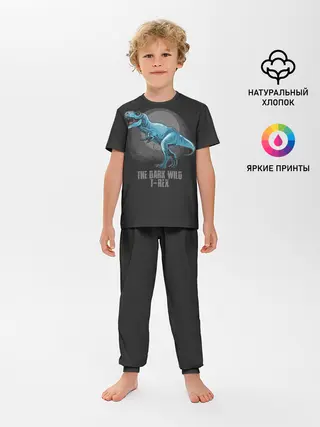 Детская пижама с брюками / Dinosaur t-rex