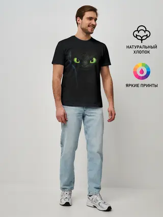 Мужская базовая футболка / как приручить дракона