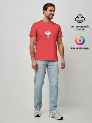 Мужская базовая футболка / Польша футбольная форма