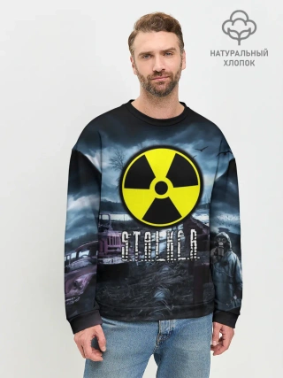 Мужской свитшот базовый / S.T.A.L.K.E.R.