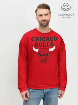 Мужской свитшот базовый / Chicago Bulls
