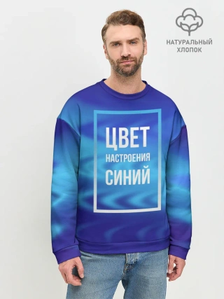Мужской свитшот базовый / Цвет настроения синий