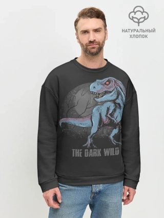 Мужской свитшот базовый / T Rex