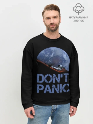 Мужской свитшот базовый / Dont Panic