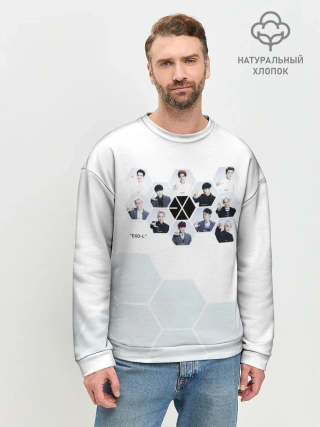 Мужской свитшот базовый / EXO