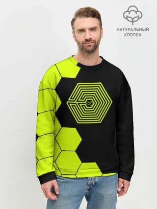 Мужской свитшот базовый / EXO