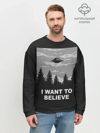 Мужской свитшот базовый / I want to believe