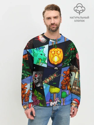 Мужской свитшот базовый / Terraria allpic