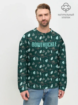 Мужской свитшот базовый / Bowtruckle