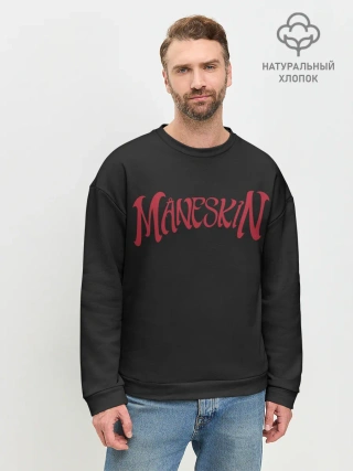 Мужской свитшот базовый / Maneskin. Inscription