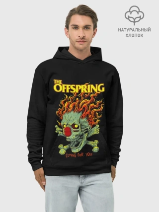 Худи мужской база хлопок / The Offspring