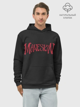 Худи мужской база хлопок / Maneskin. Inscription