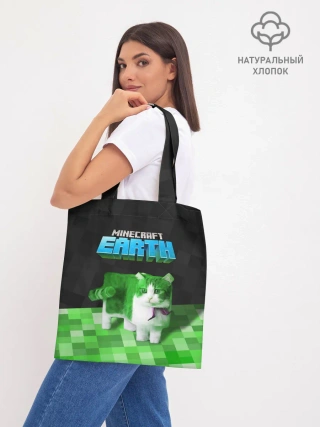 Шоппер база / Minecraft EARTH - Котик