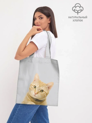 Шоппер база / Рыжий котик