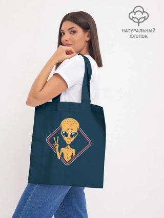 Шоппер база / НЛО / UFO