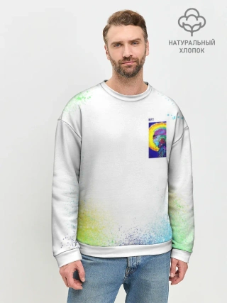 Свитшот мужской базовый из хлопка / 887_Spray