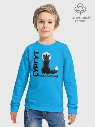 Детский свитшот хлопок /  Сургут космический лис
